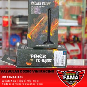 Valvulas cg200