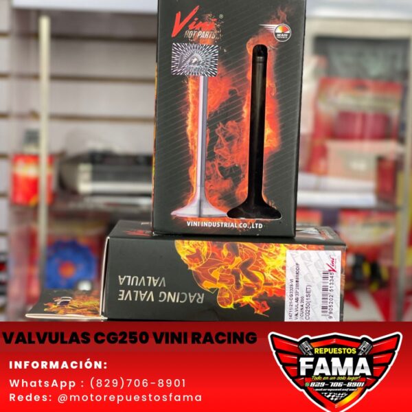 Valvulas cg250