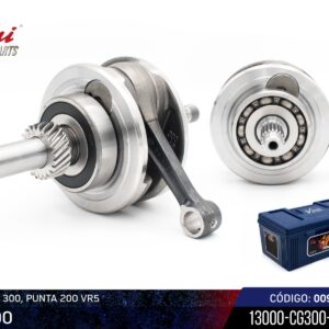 Cigueñal 300, Punta 200 VR5